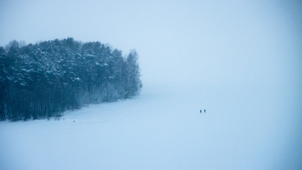 a couple of people walking across a snow covered field