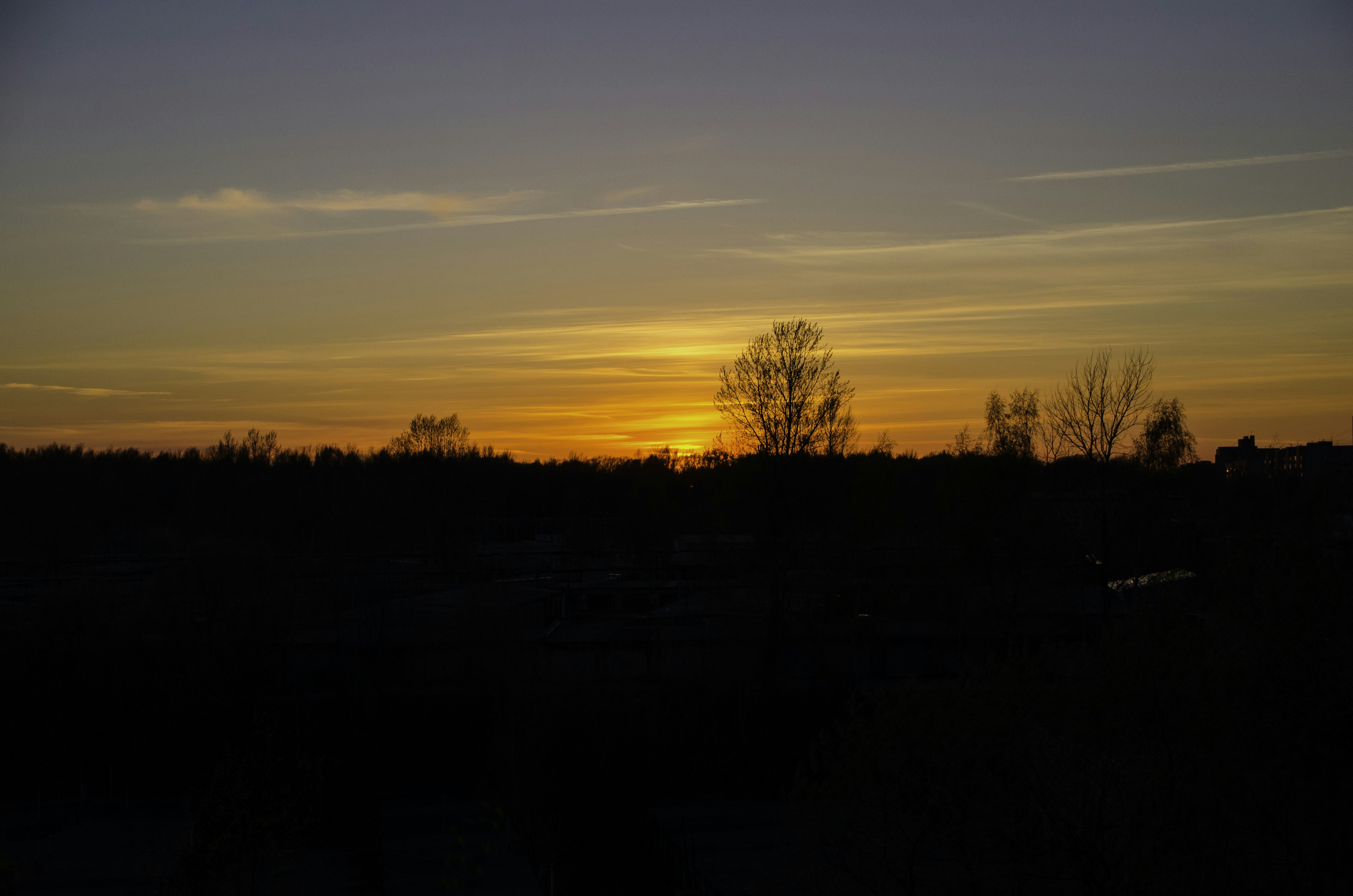 Photo by aleksandr_2022