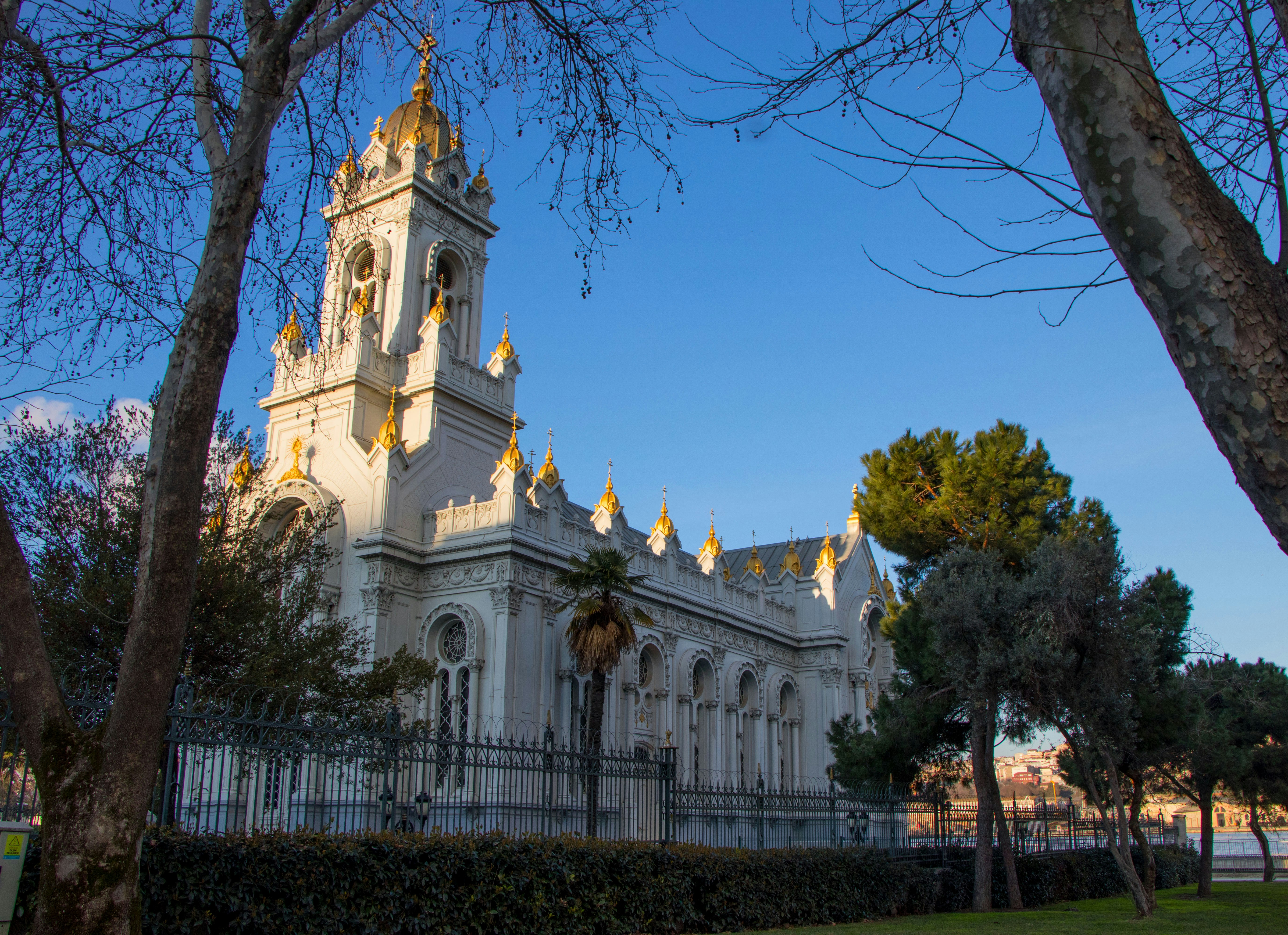 Photo by alirezamirzabegi