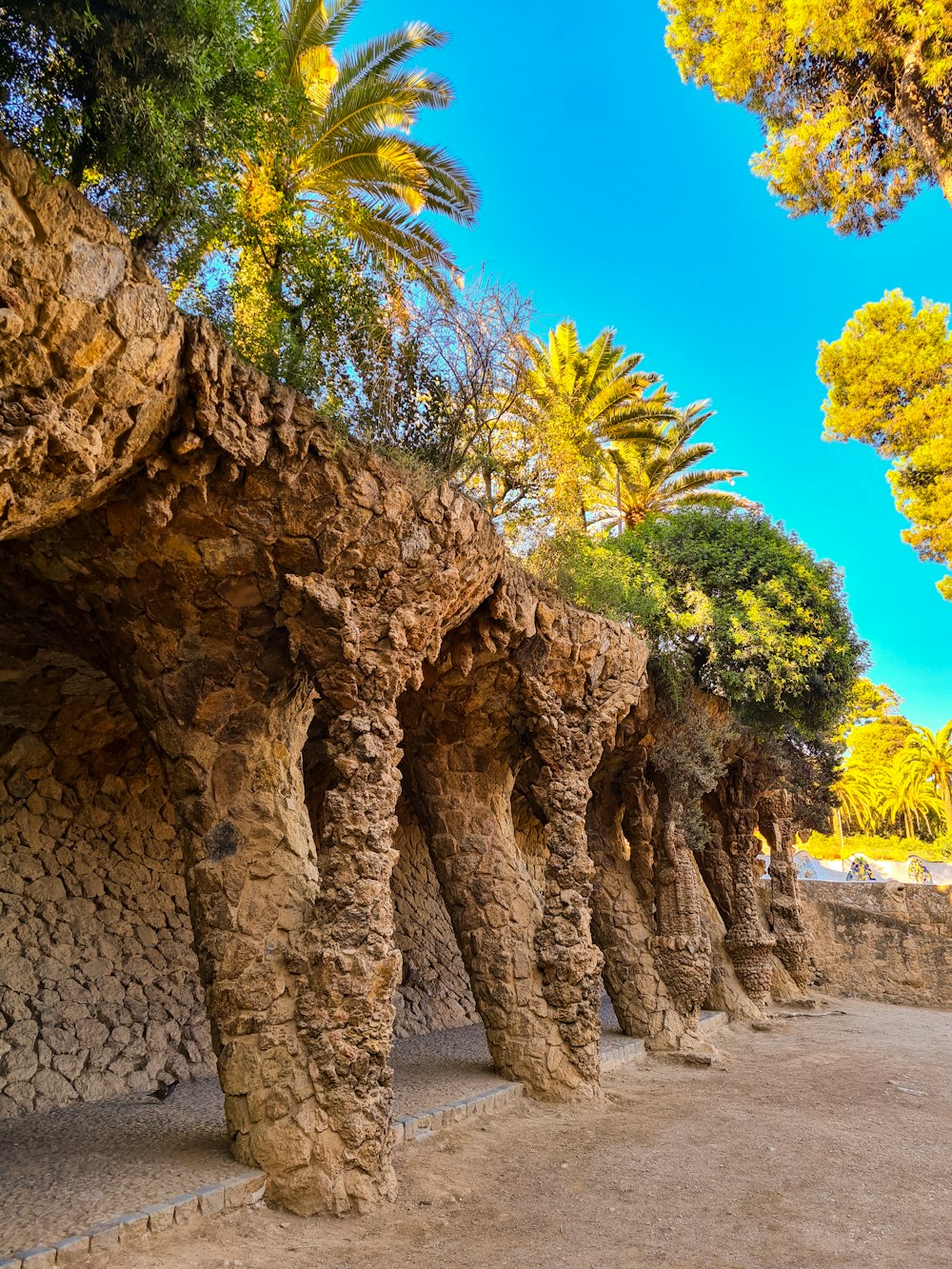 Un gruppo di alberi che si trovano accanto a un muro