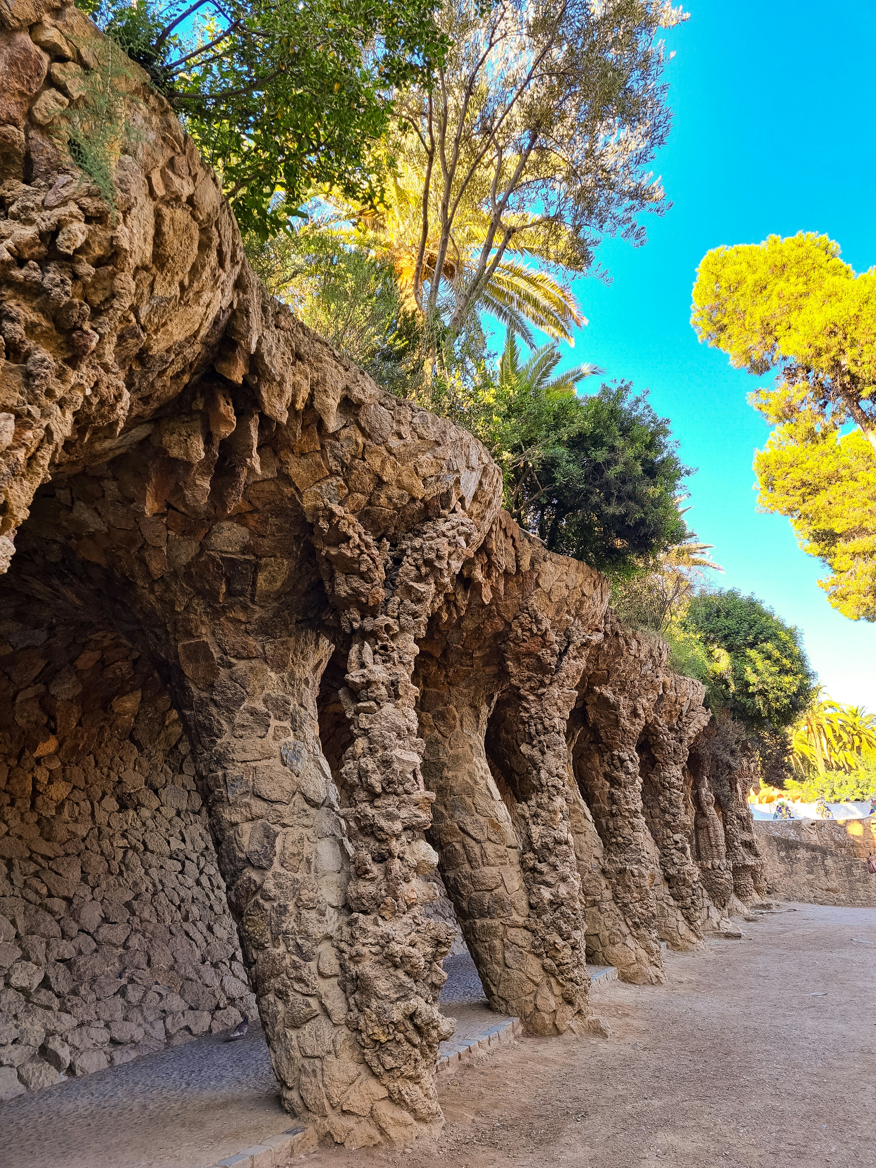 Choose from a curated selection of tree photos. Always free on Unsplash.