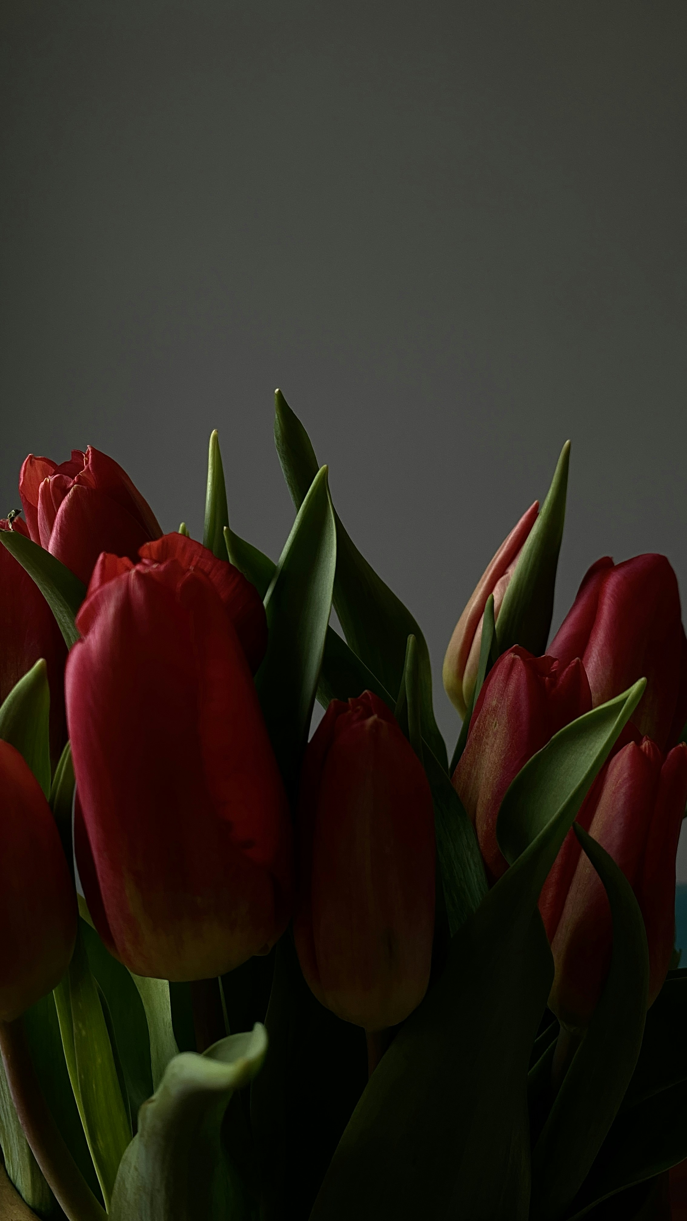 Photo by filipp_roman_photography