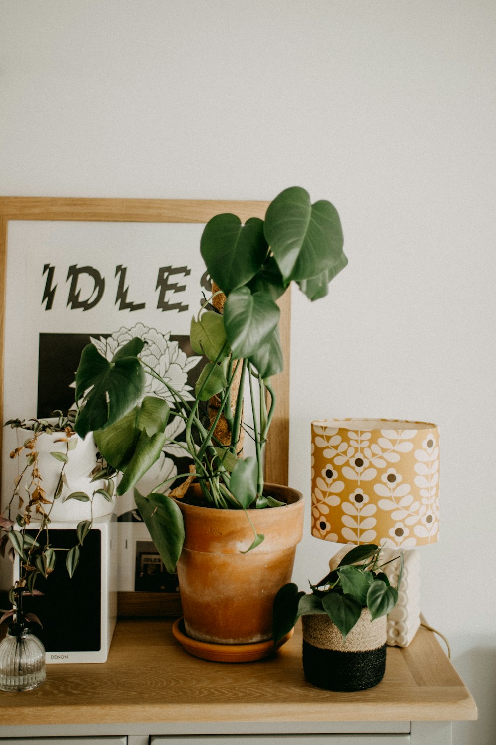 a potted plant sitting on top of a wooden table