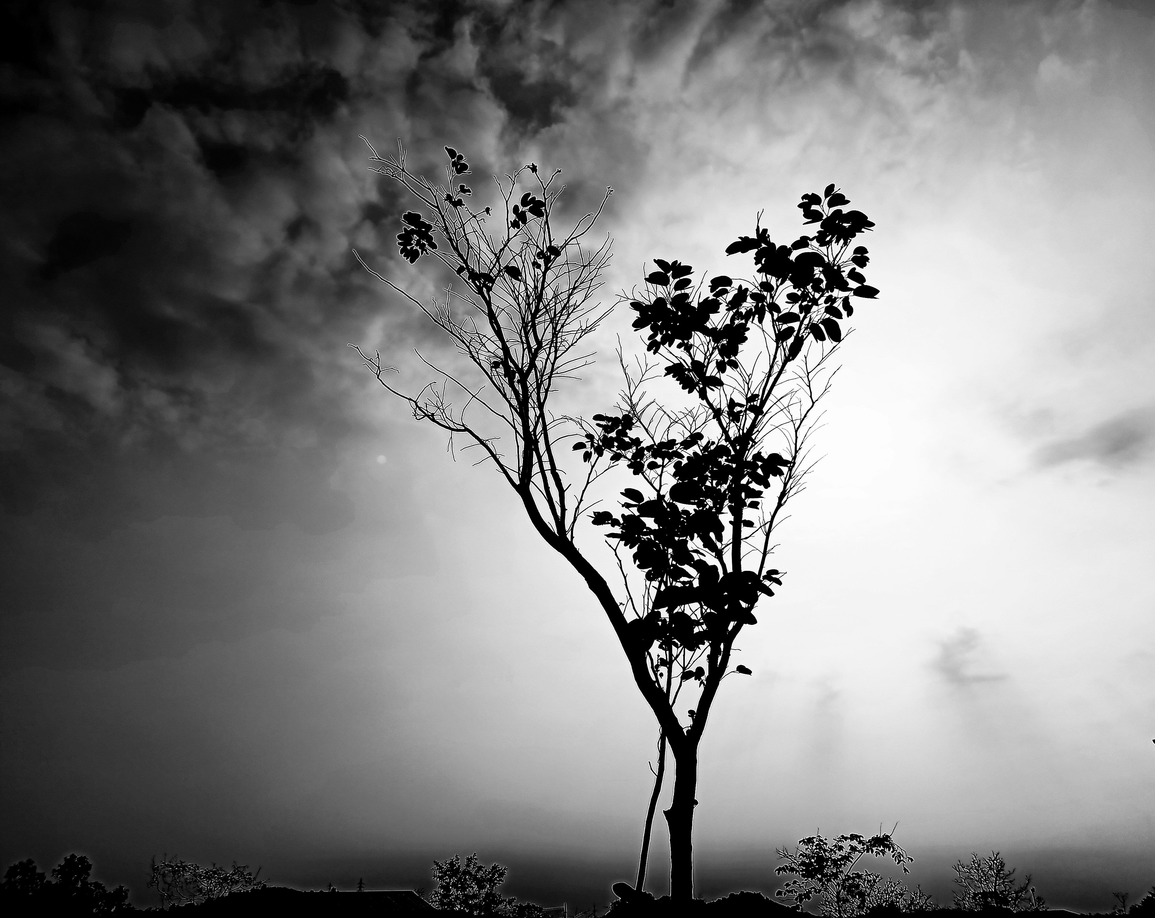 Photo by omprakash2019