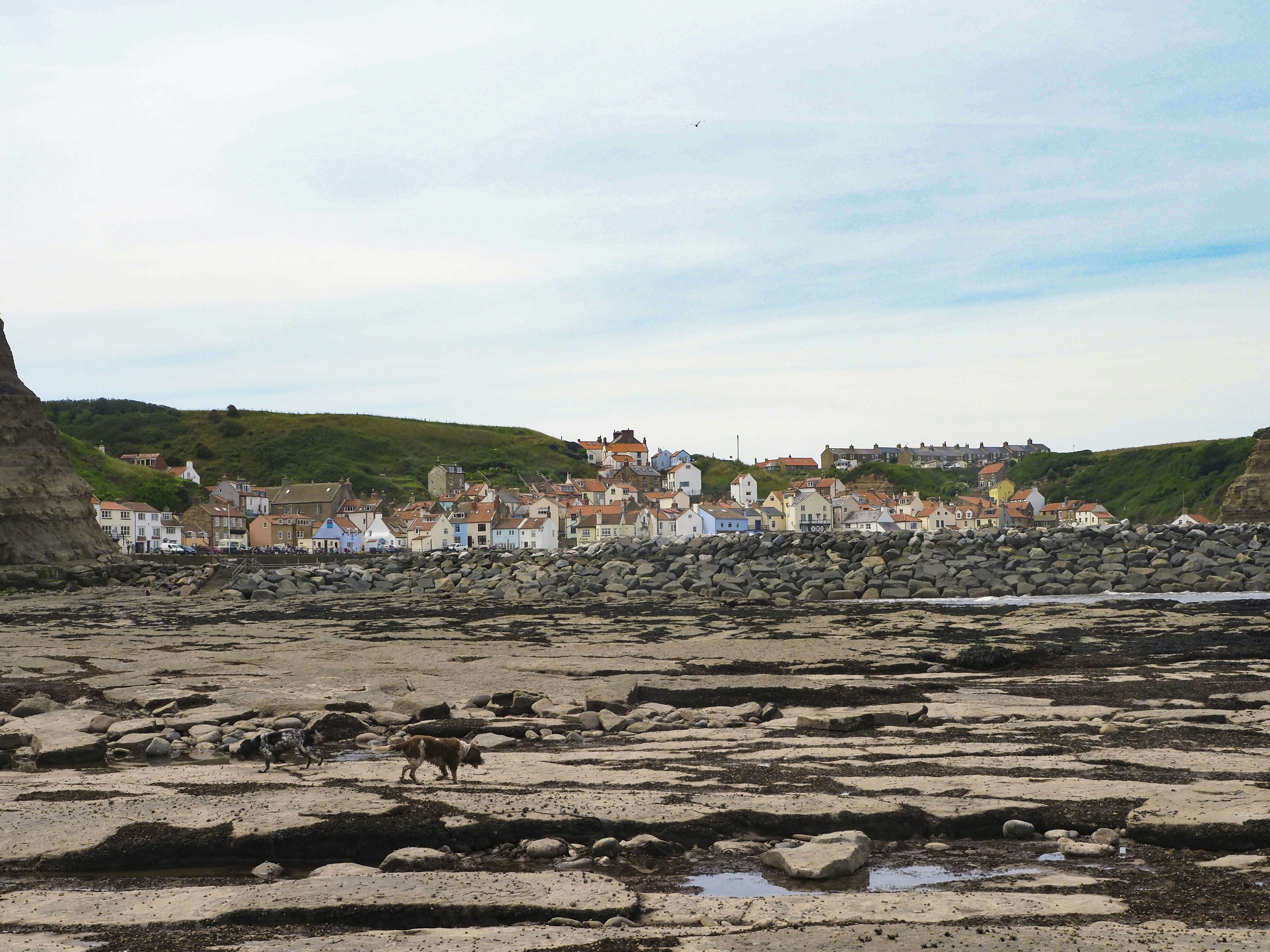 Why the Cliffs Erode and Create New Discoveries - Joggins Fossil Cliffs Nova Scotia