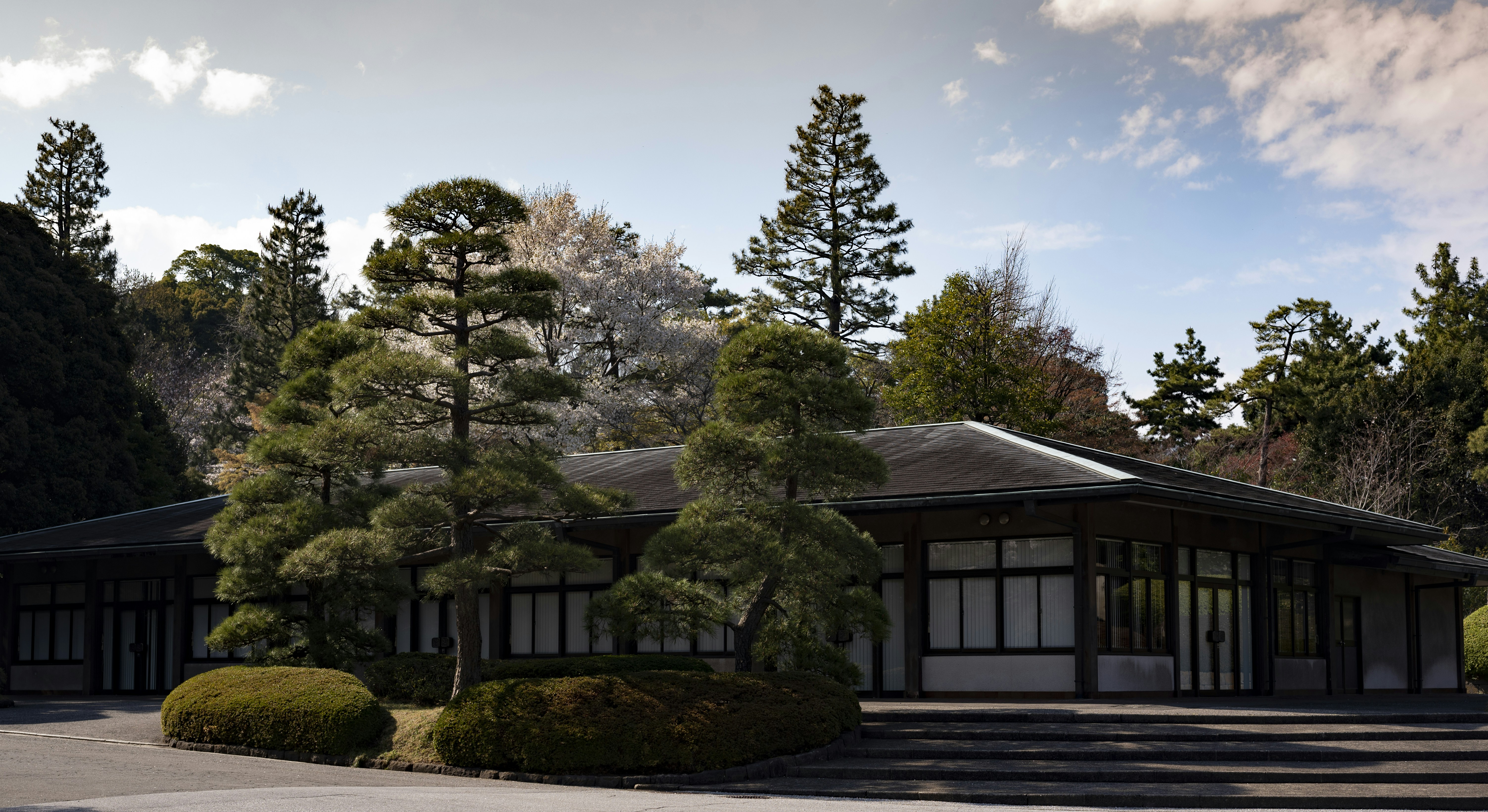 a building with a lot of trees in front of it