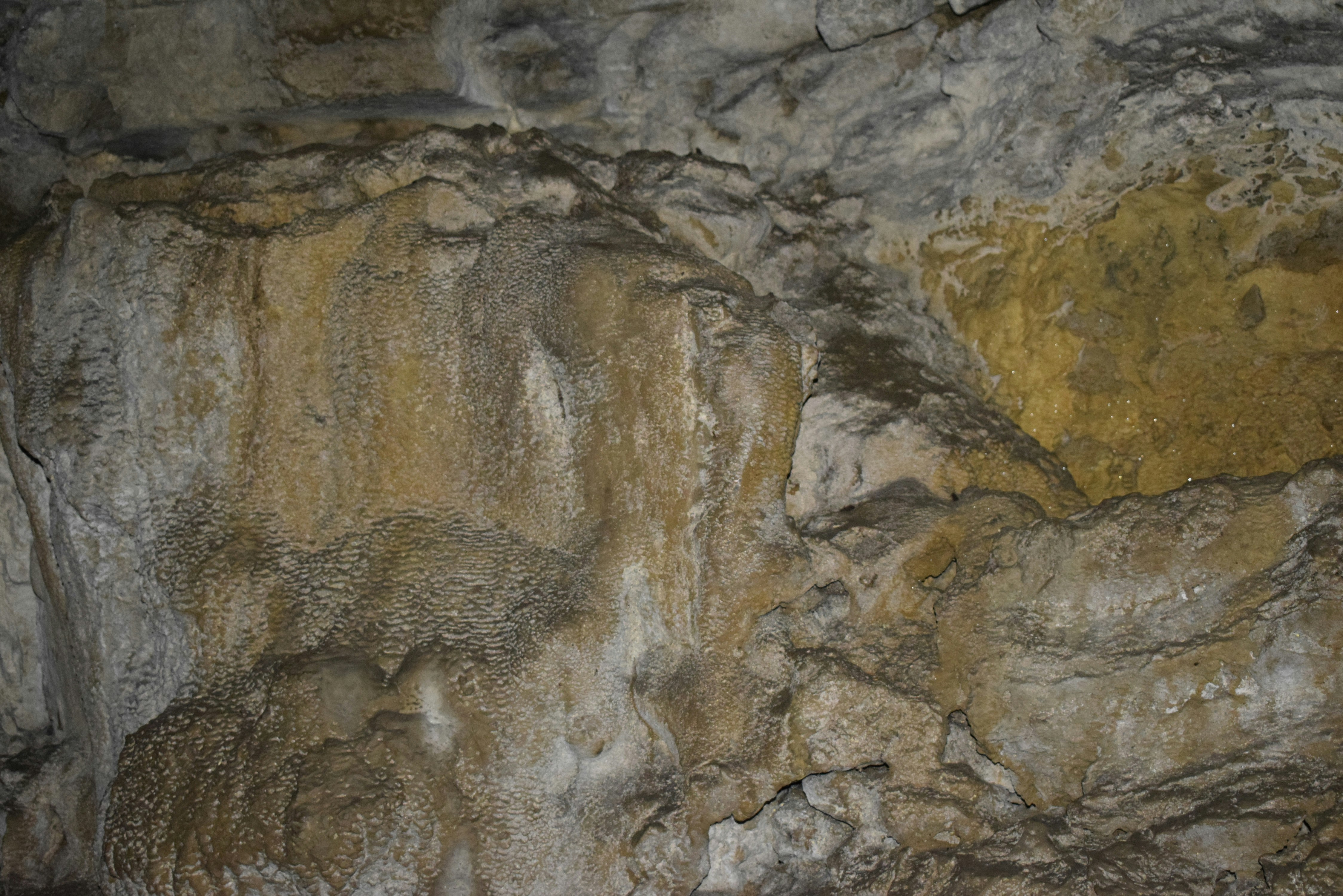 Photo by div_free_photo