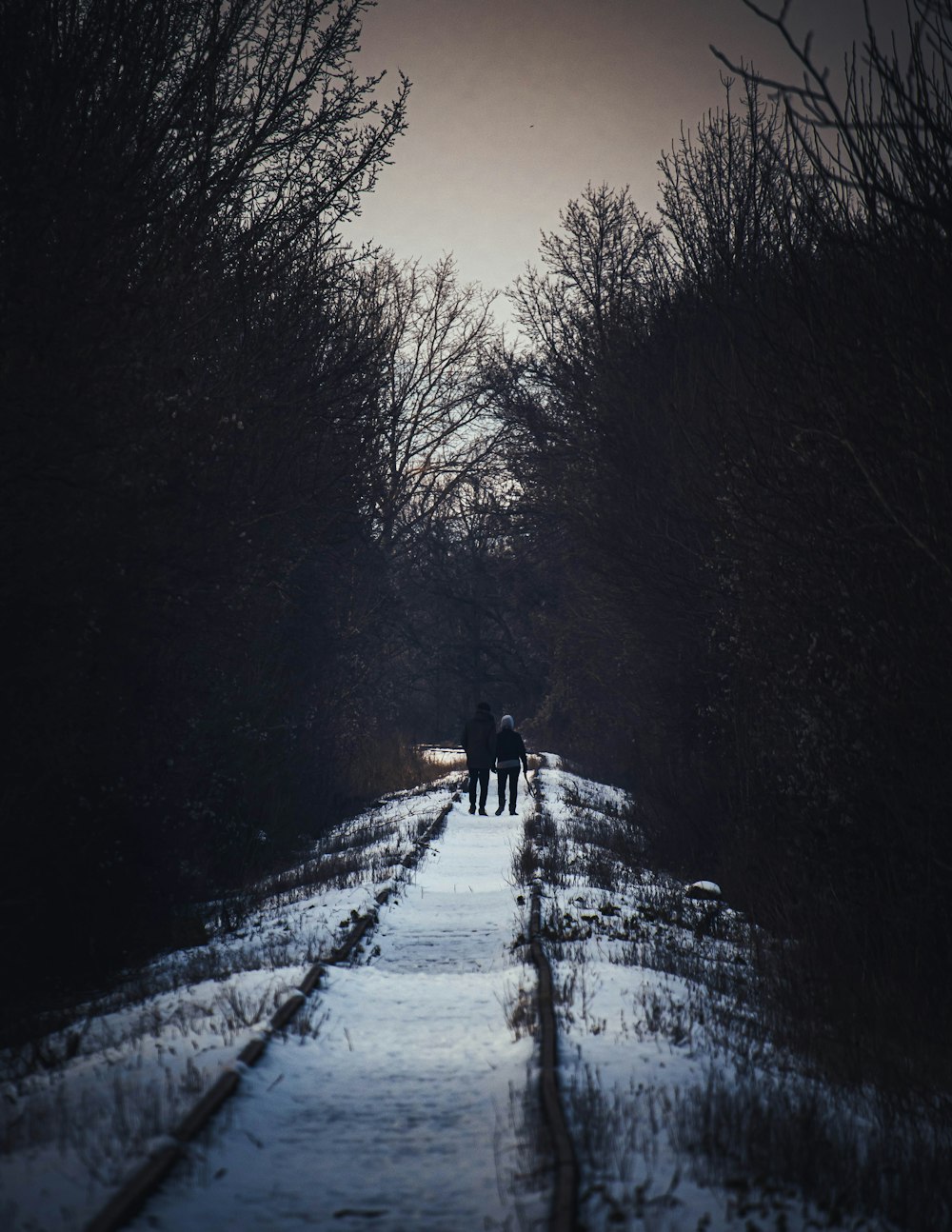 a group of people walking down a snow covered path