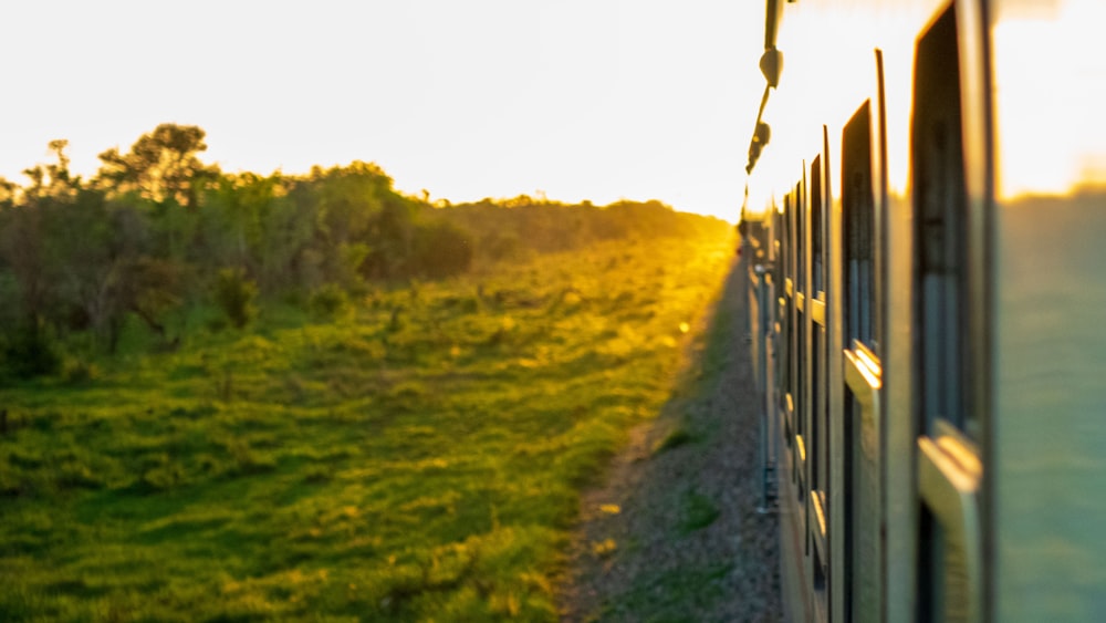 a train traveling through a lush green countryside