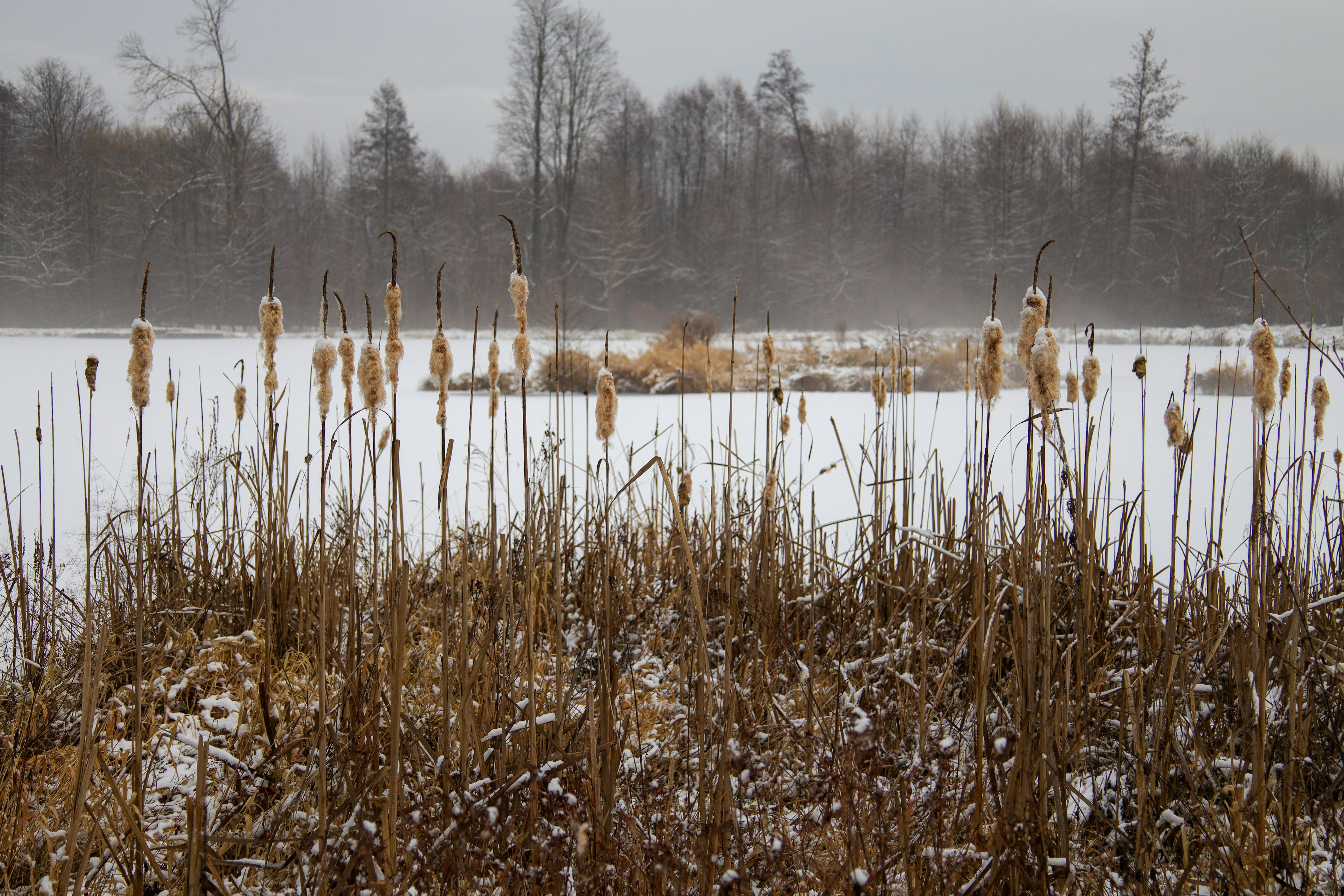 Image by Maciej Cisowski via Unsplash