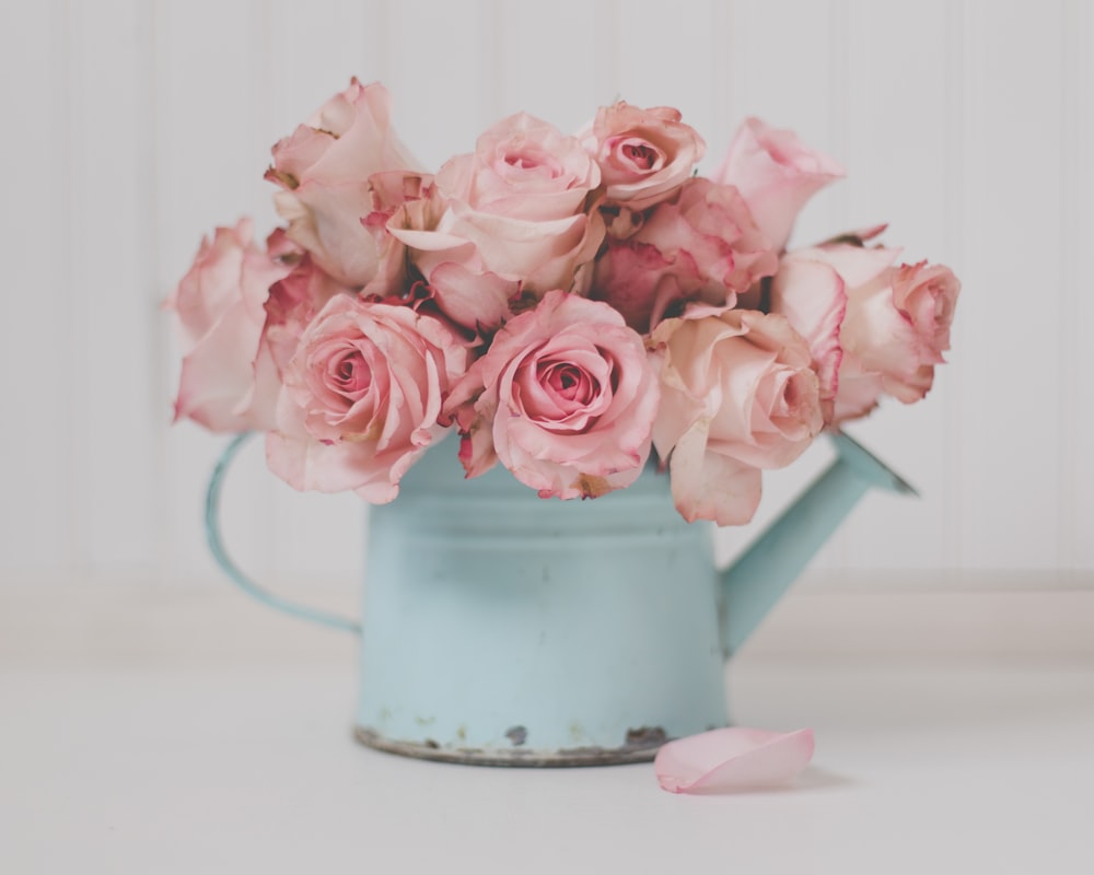 a blue watering can filled with pink roses