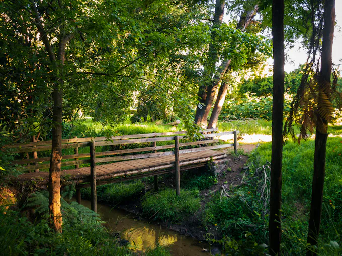 Wooden bridge over a small forest stream, similar to the Bells Gap Run setting around Bellwood, PA