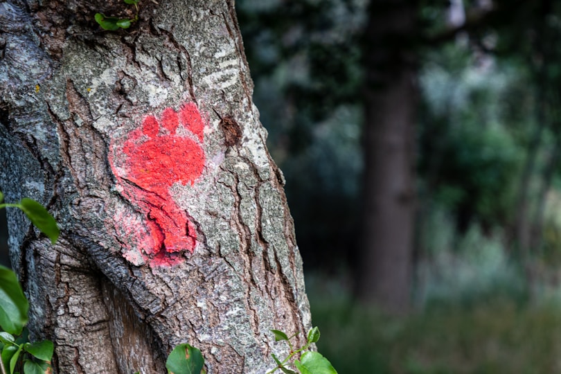 a tree with a red heart painted on it