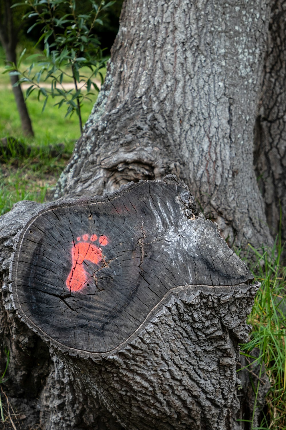 a tree stump with a red foot print on it