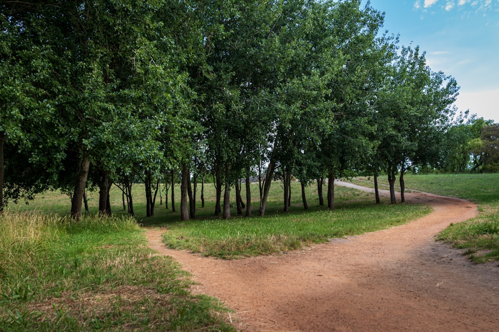 a dirt road surrounded by trees and grass