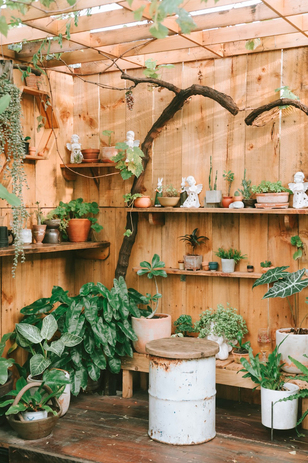 uma sala cheia de muitos vasos de plantas