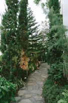 Decorative stone pathway winding through a landscaped backyard.