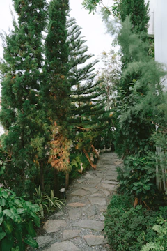 Finished stone pathway winding through a lush garden