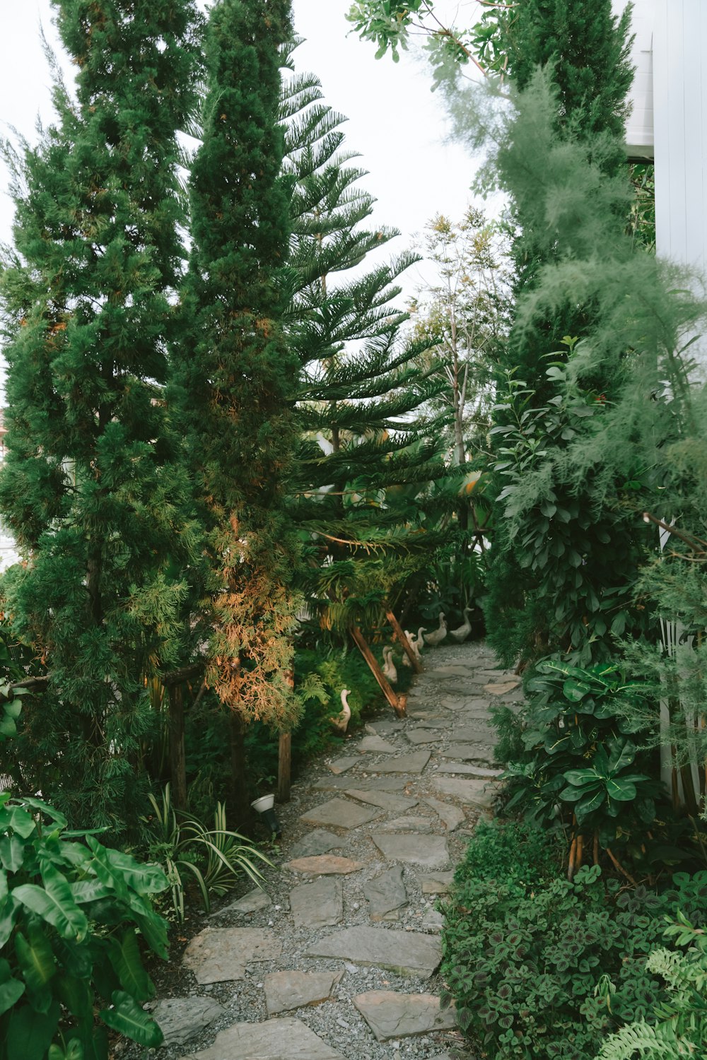 a stone path in the middle of a garden