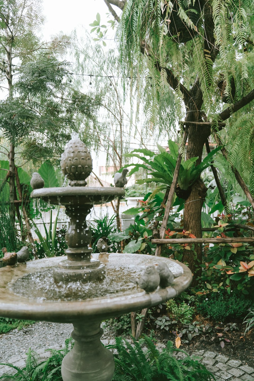 a fountain in a garden surrounded by greenery