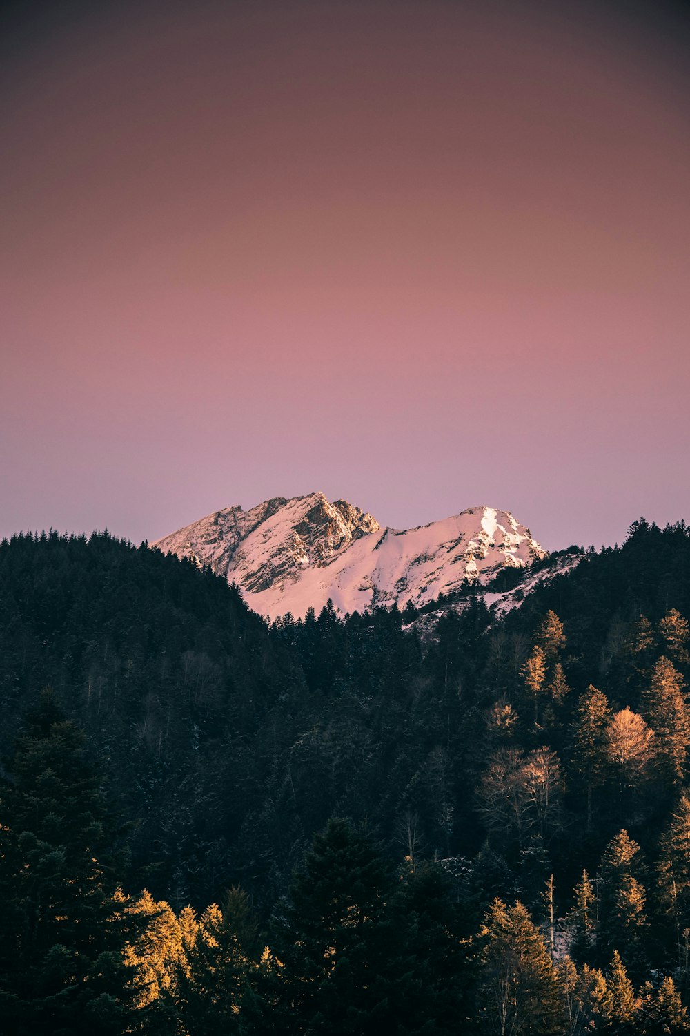 a view of a mountain with trees in the foreground