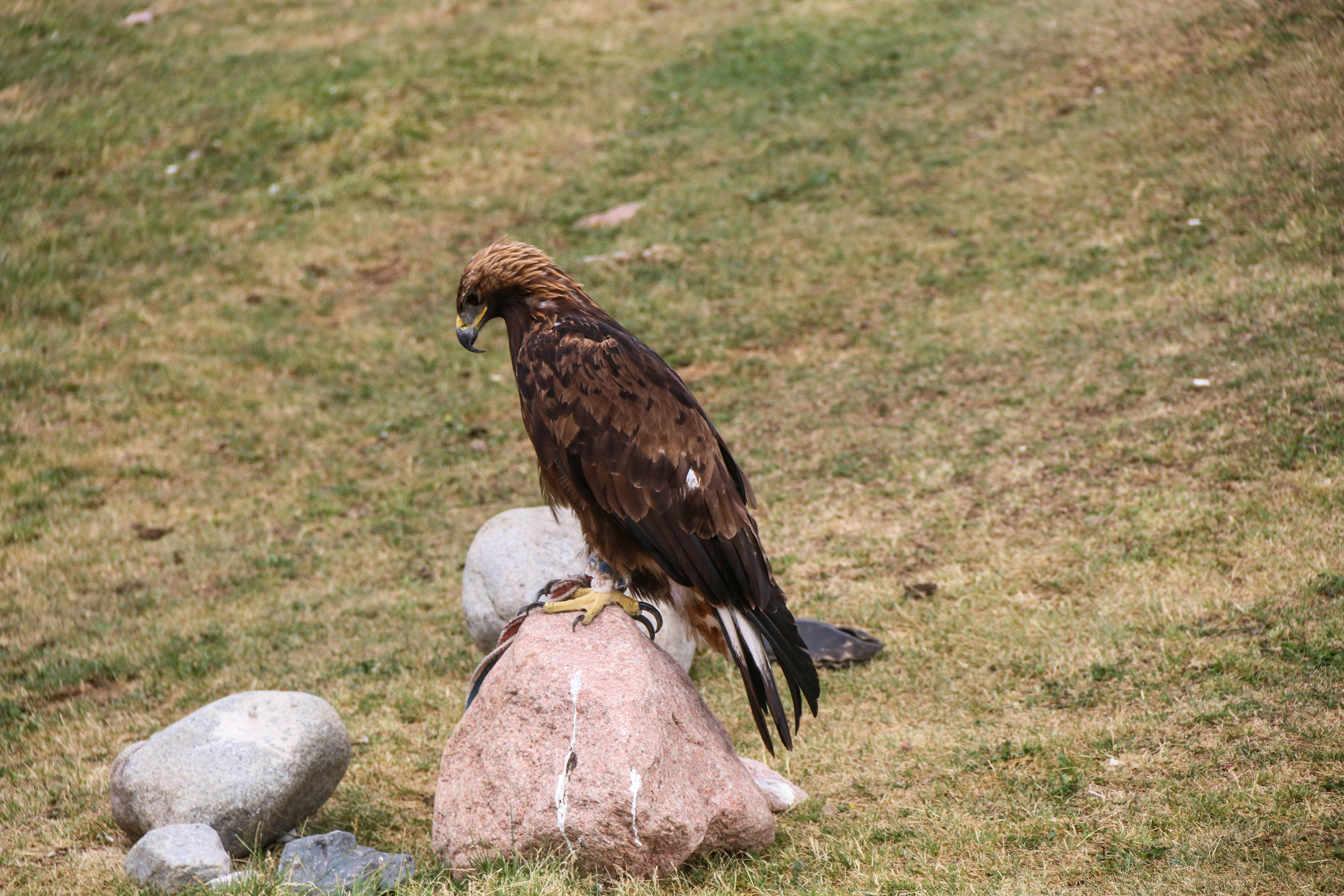 Photo by unternata