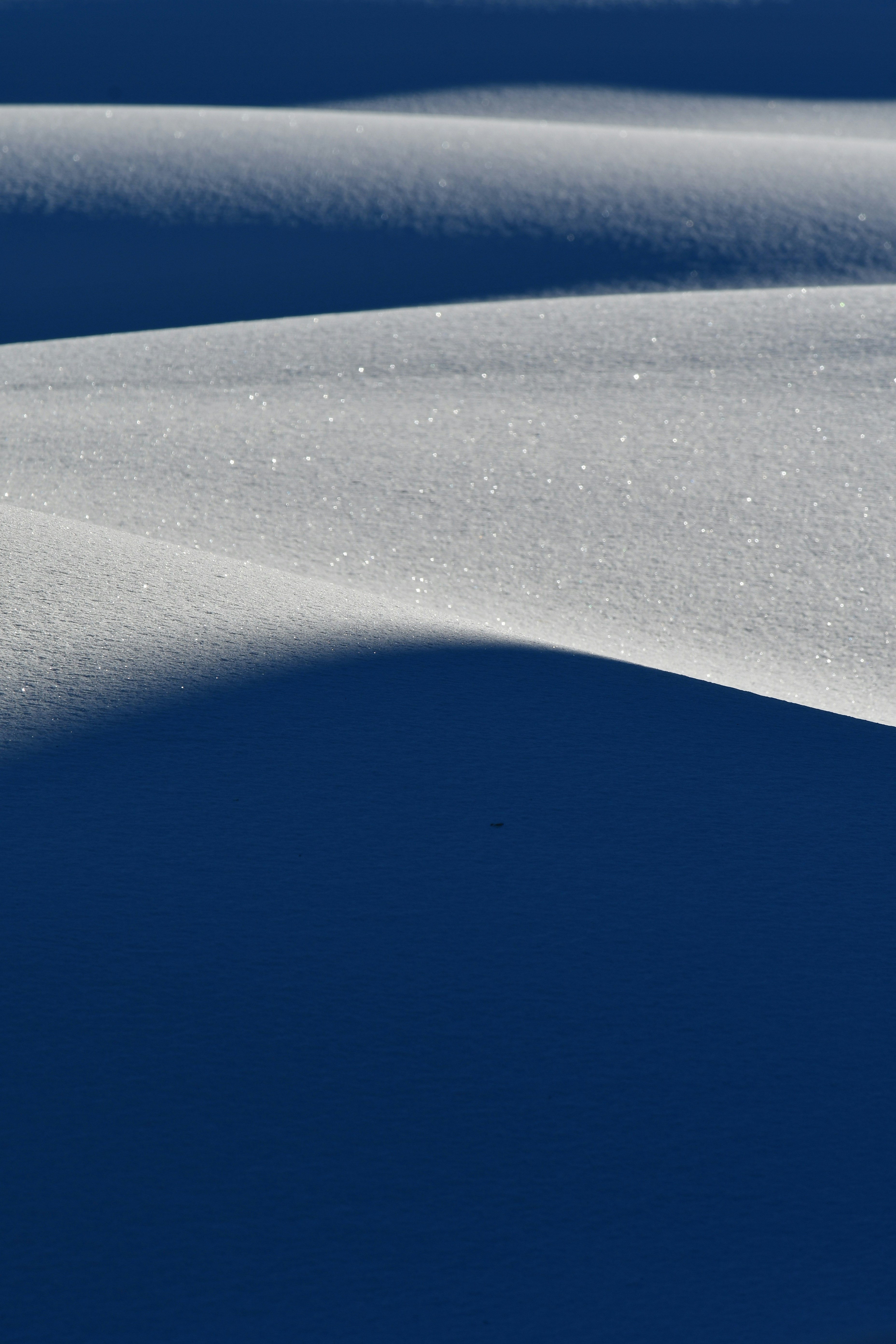 Photo by pedrino5_official