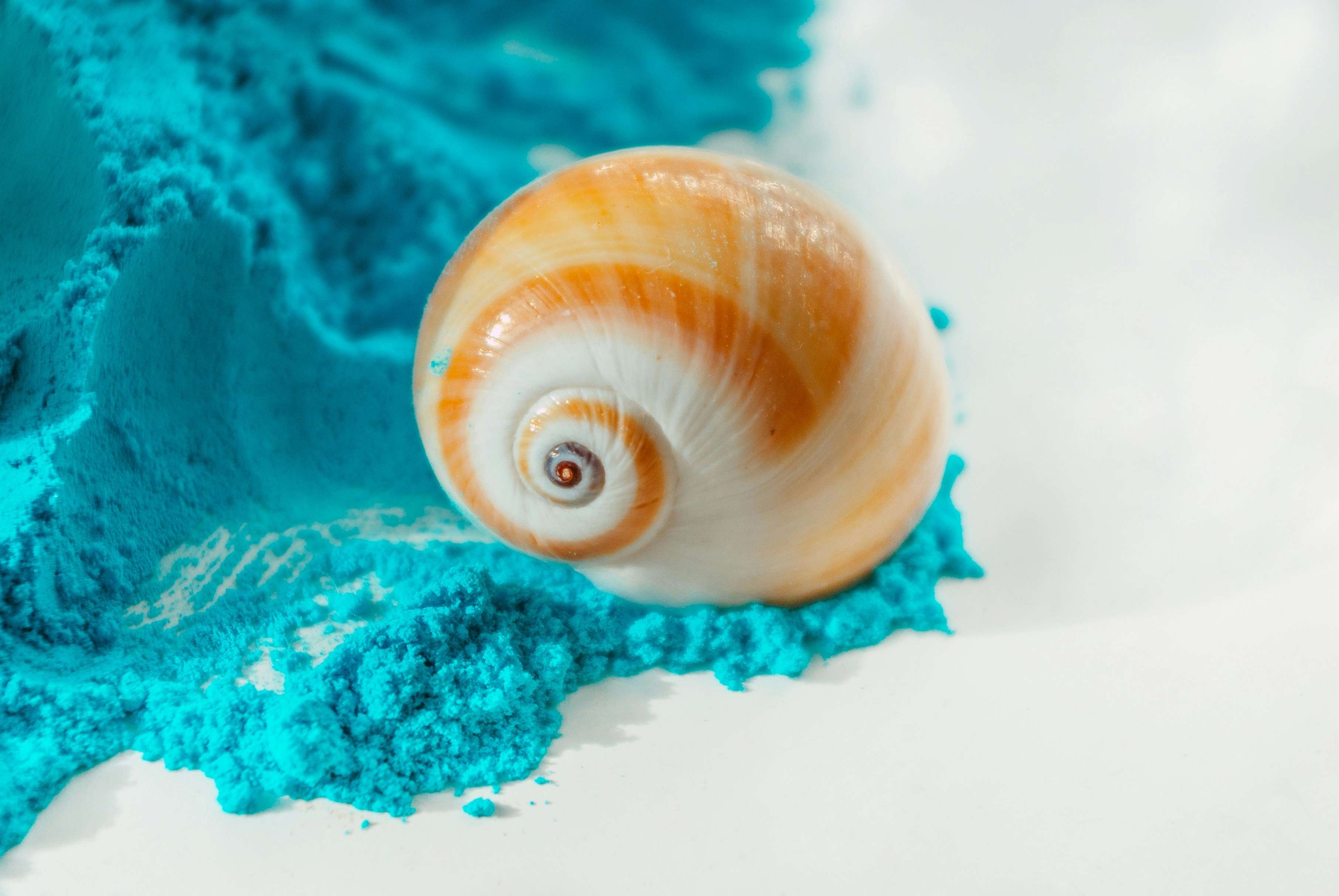 Photo by moonmoons_days