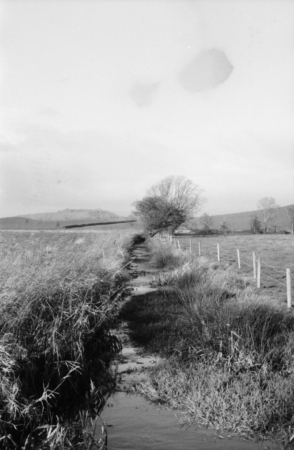 a black and white photo of a stream in a field