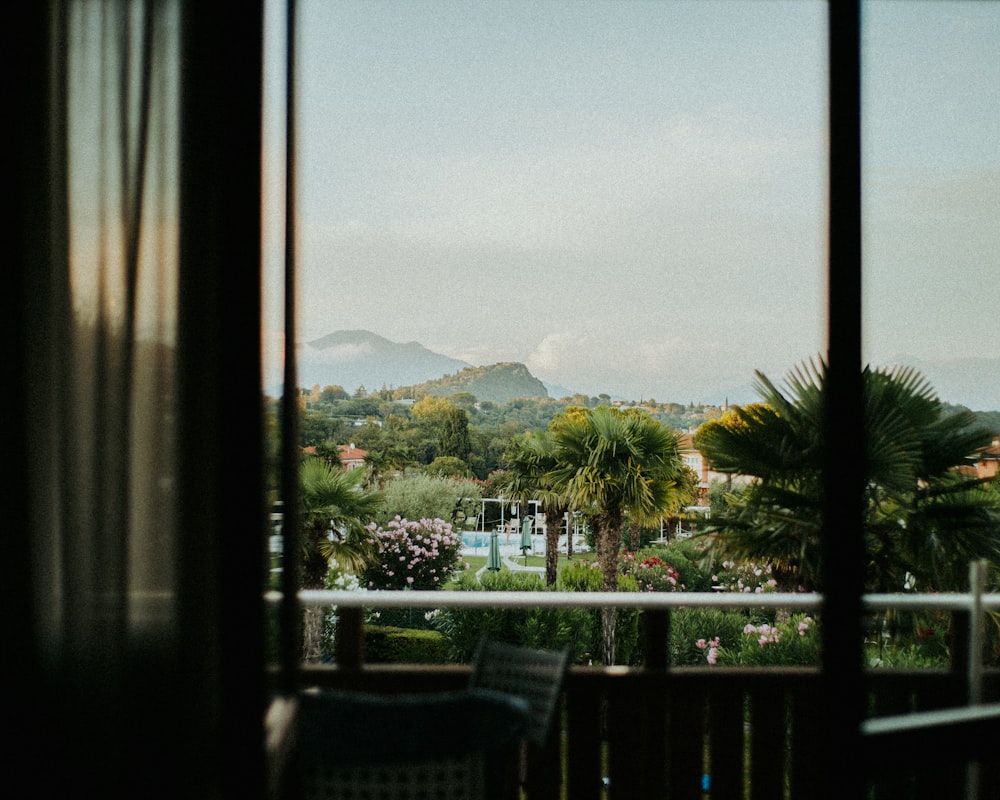 a view out a window of a tropical setting