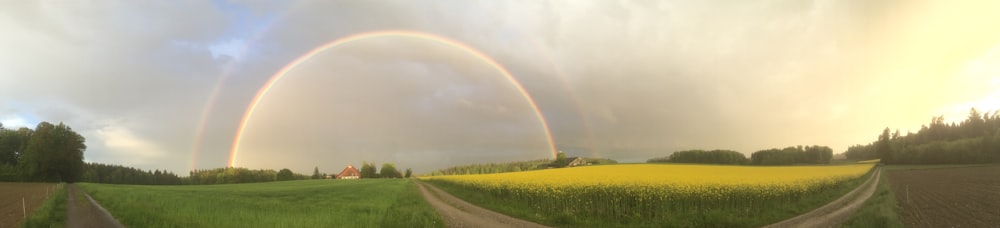 two rainbows in the sky over a green field