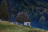a house with a thatched roof on a hill
