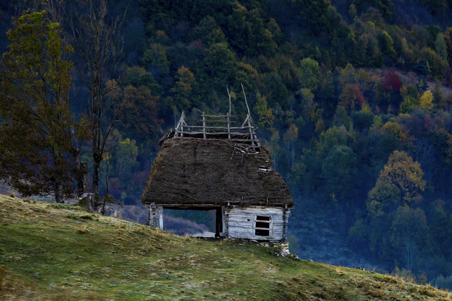 A thatched wooden house on a hillside in the Apuseni Mountains