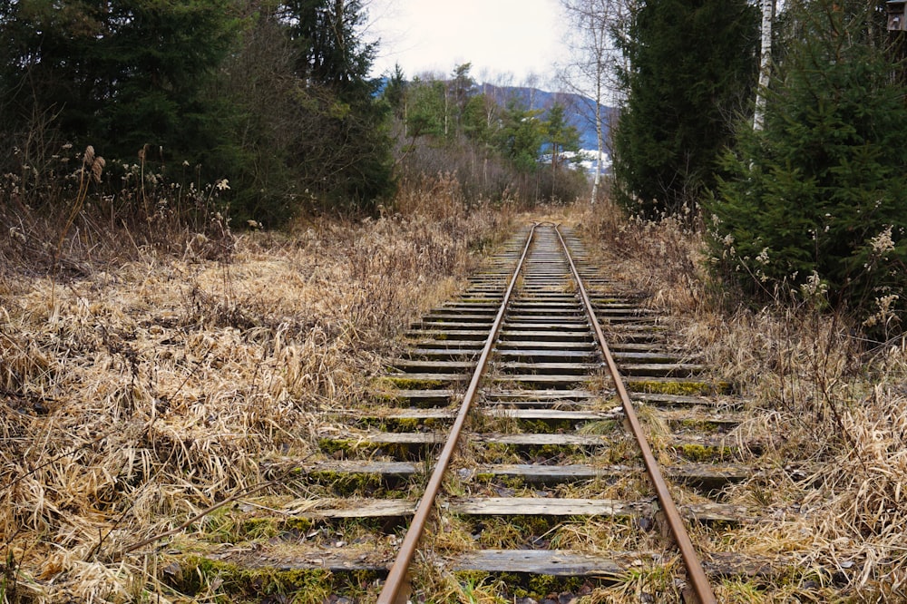 a train track in the middle of a field