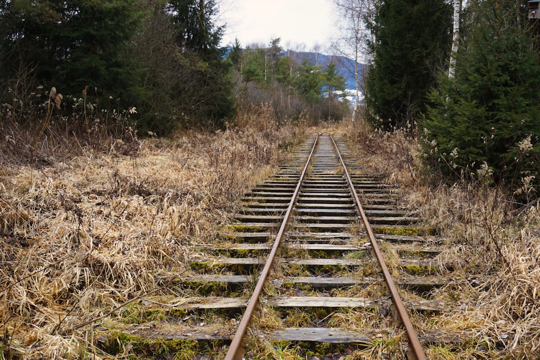 a train track in the middle of a field, Forgotten train tracks