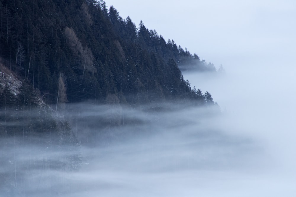 a mountain covered in fog with trees in the background