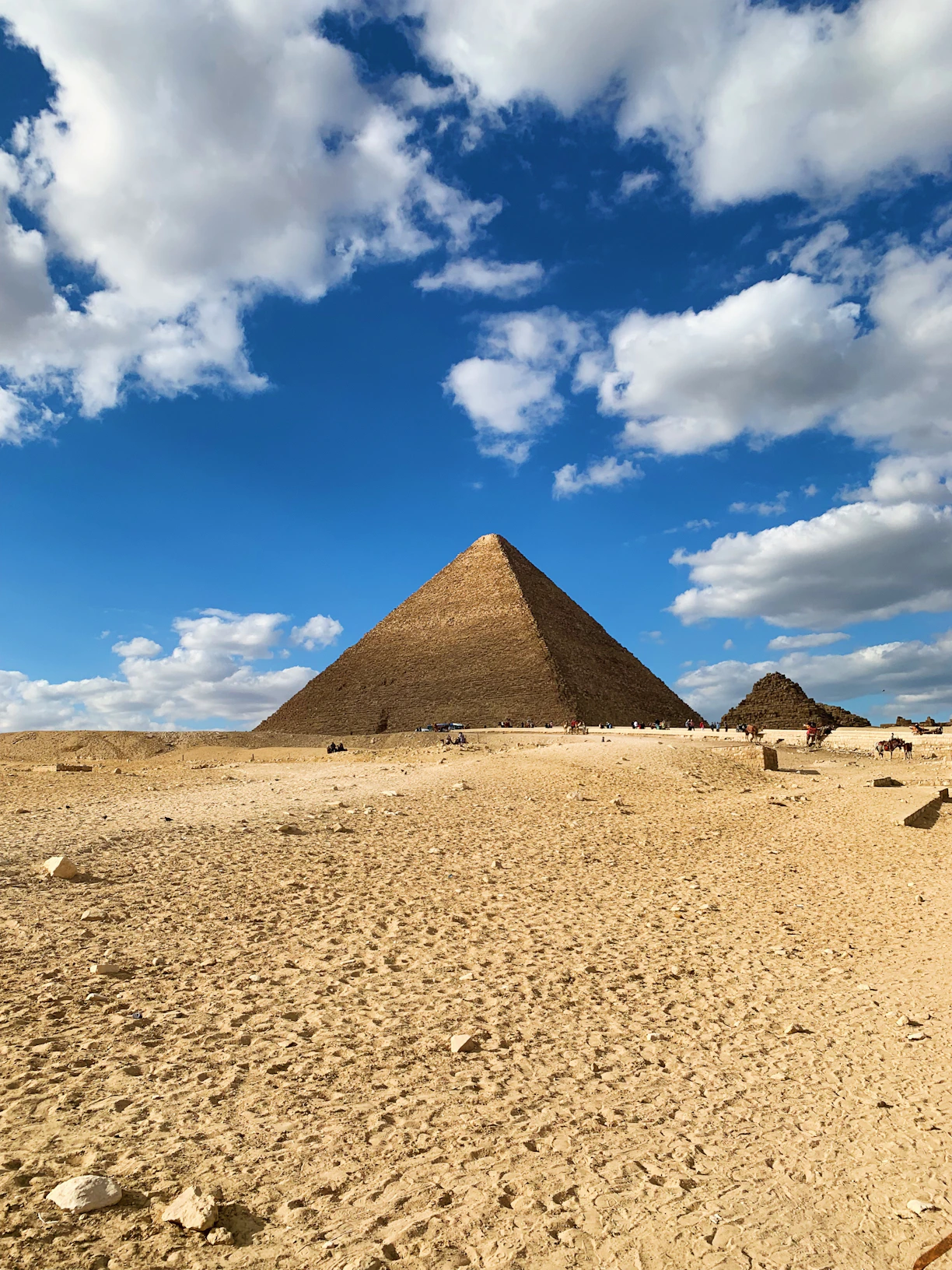 the pyramids of giza are in the desert