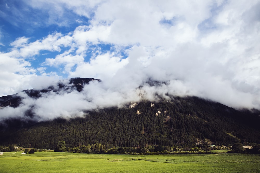 a green field with a mountain in the background