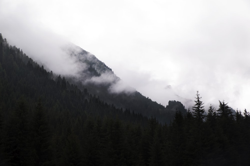 une montagne couverte de brouillard et de nuages bas