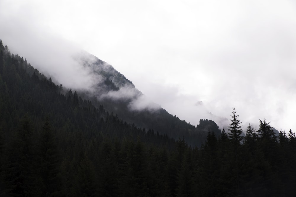 a mountain covered in fog and low lying clouds