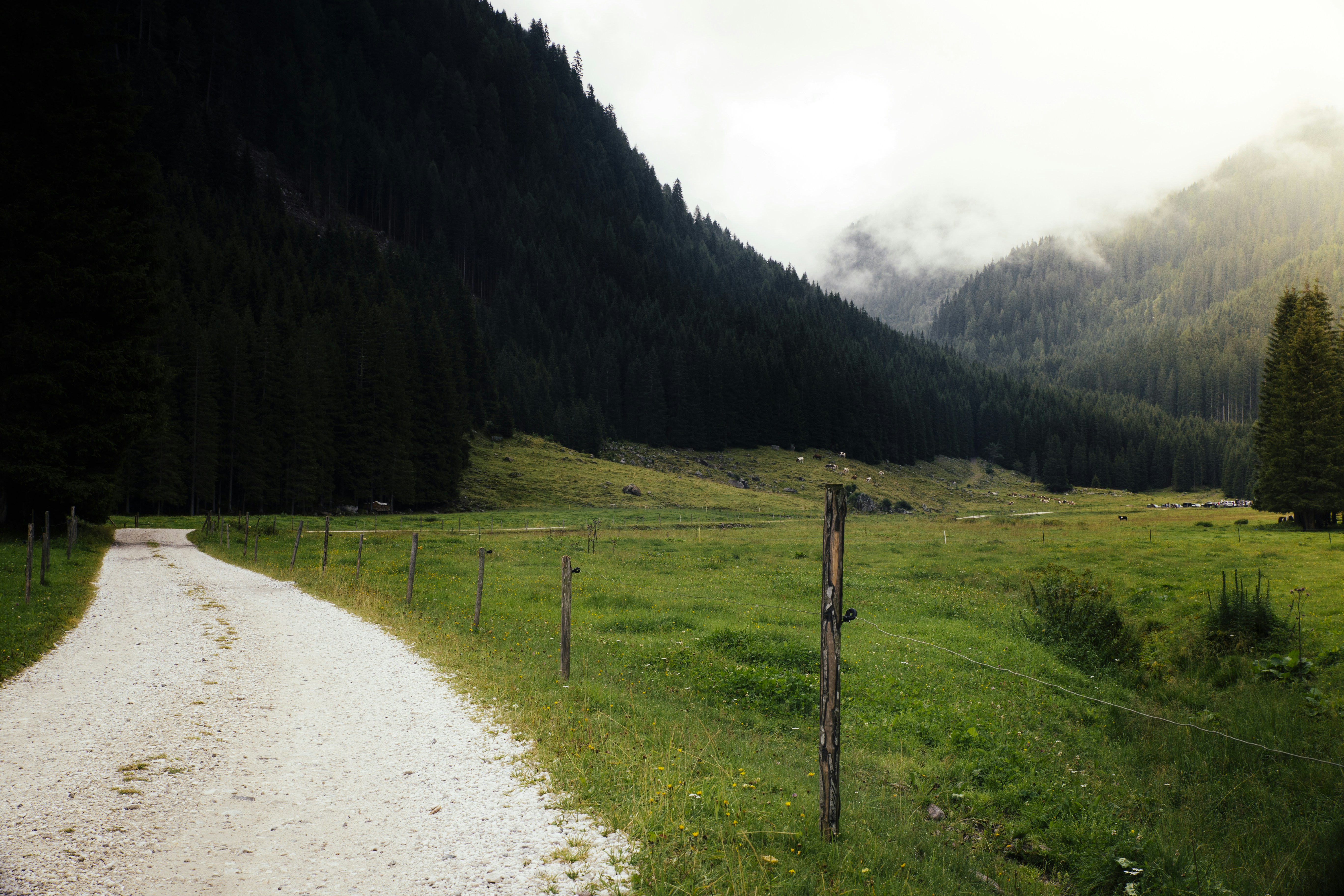 Photo by ilvagabiondo