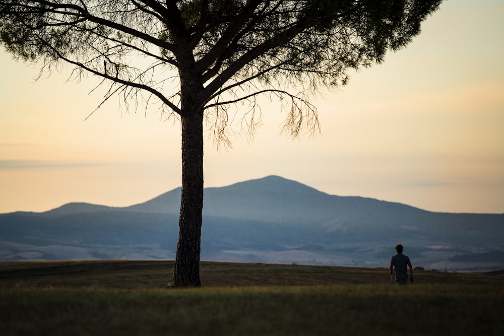 Un homme debout sous un arbre au sommet d’une colline
