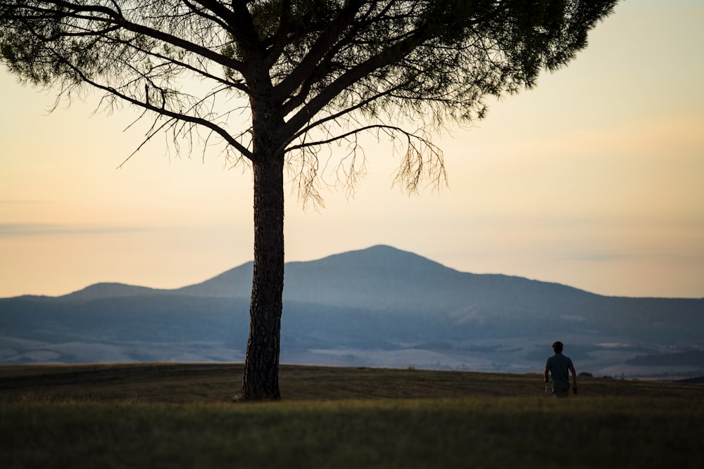 a man standing under a tree on top of a hill