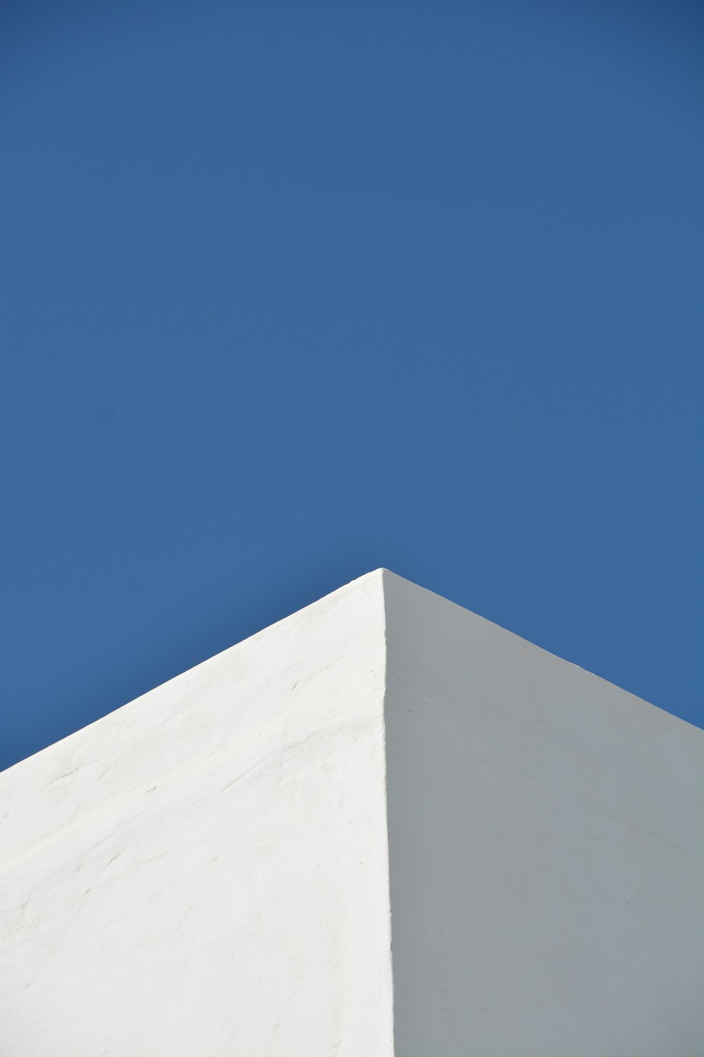 a bird is sitting on top of a building