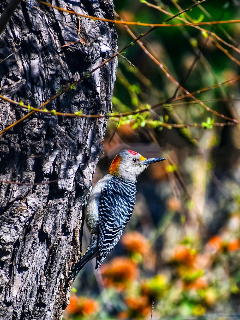 a bird is perched on a tree branch