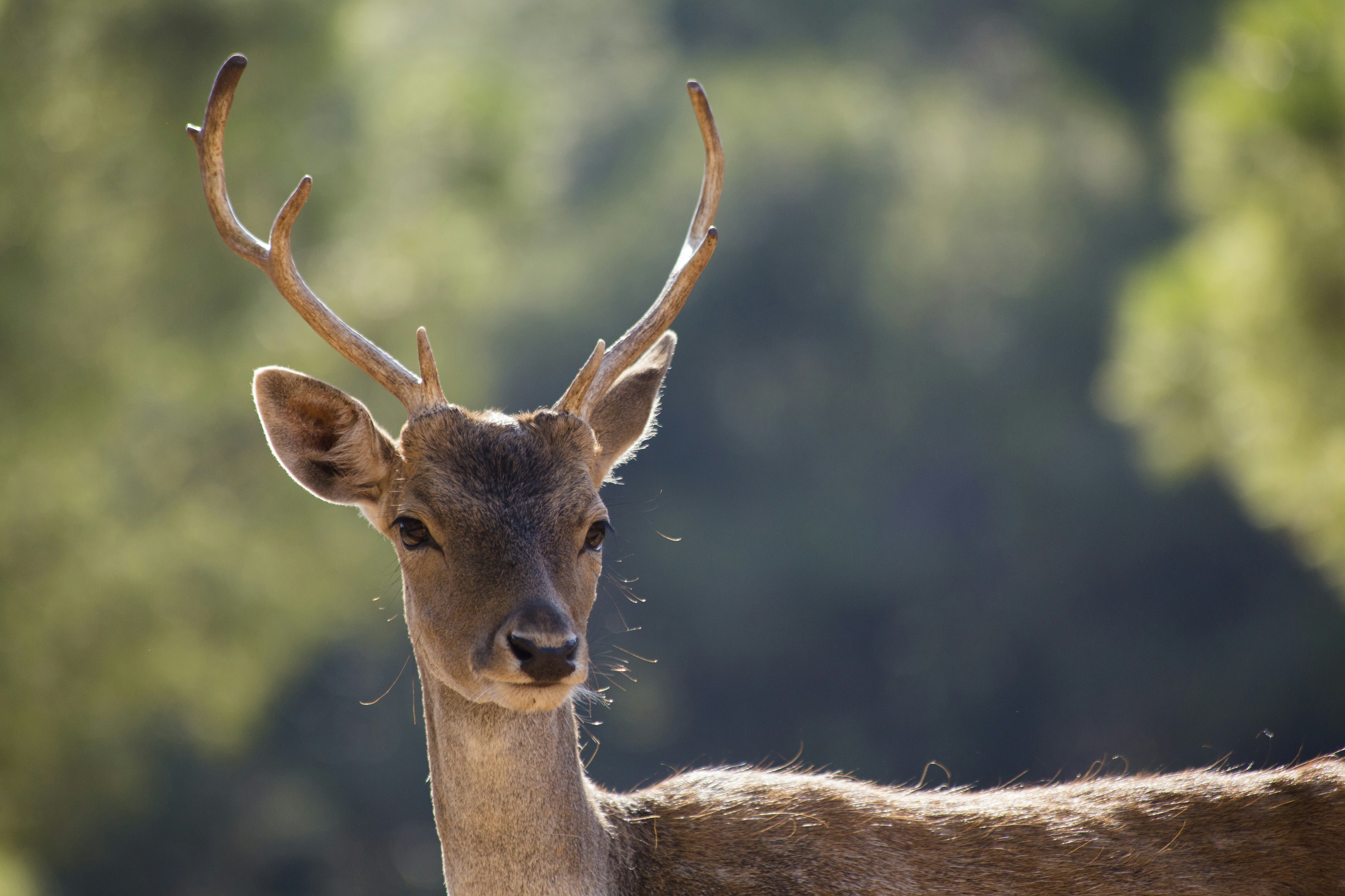 Photo by ilvagabiondo