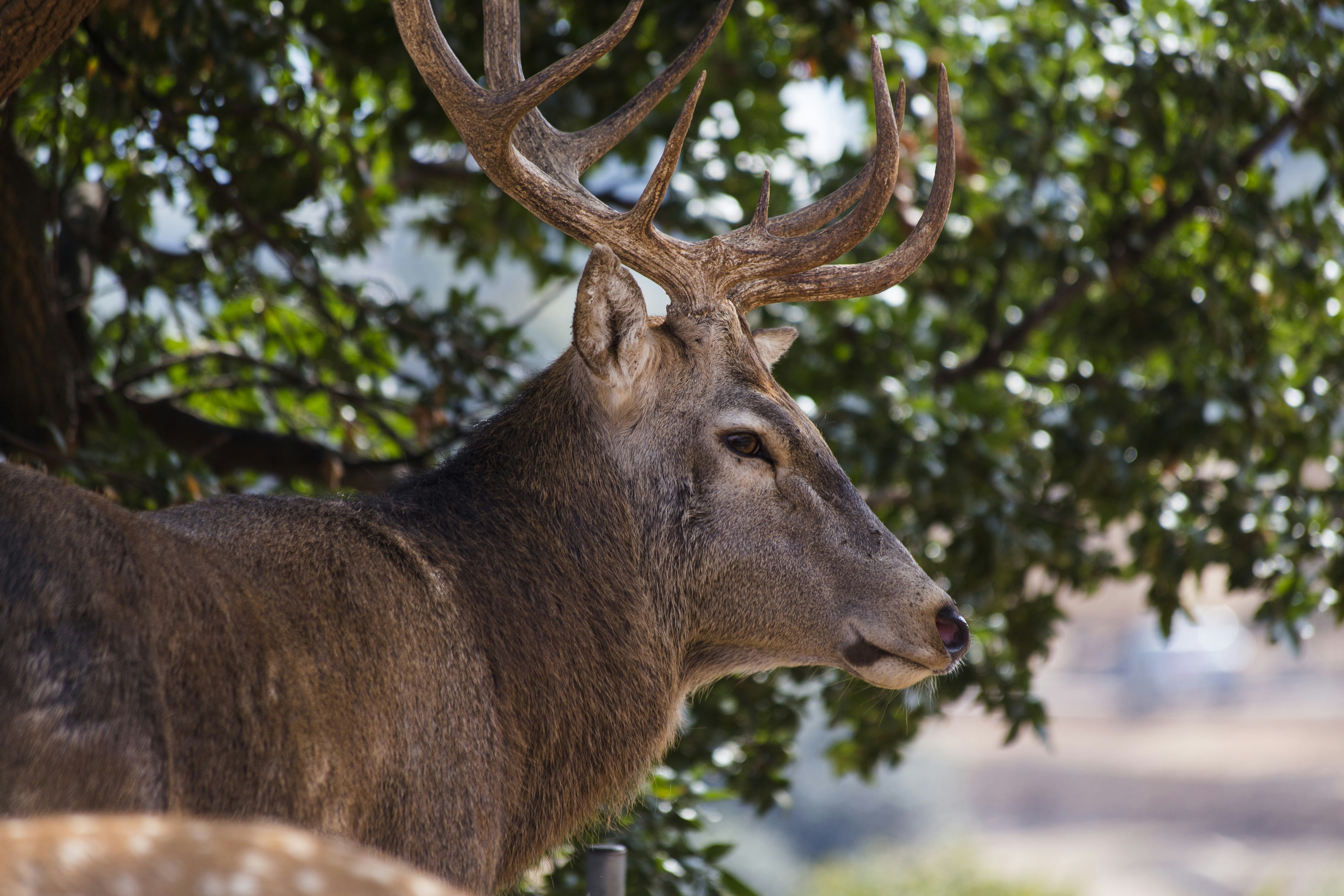 Photo by ilvagabiondo