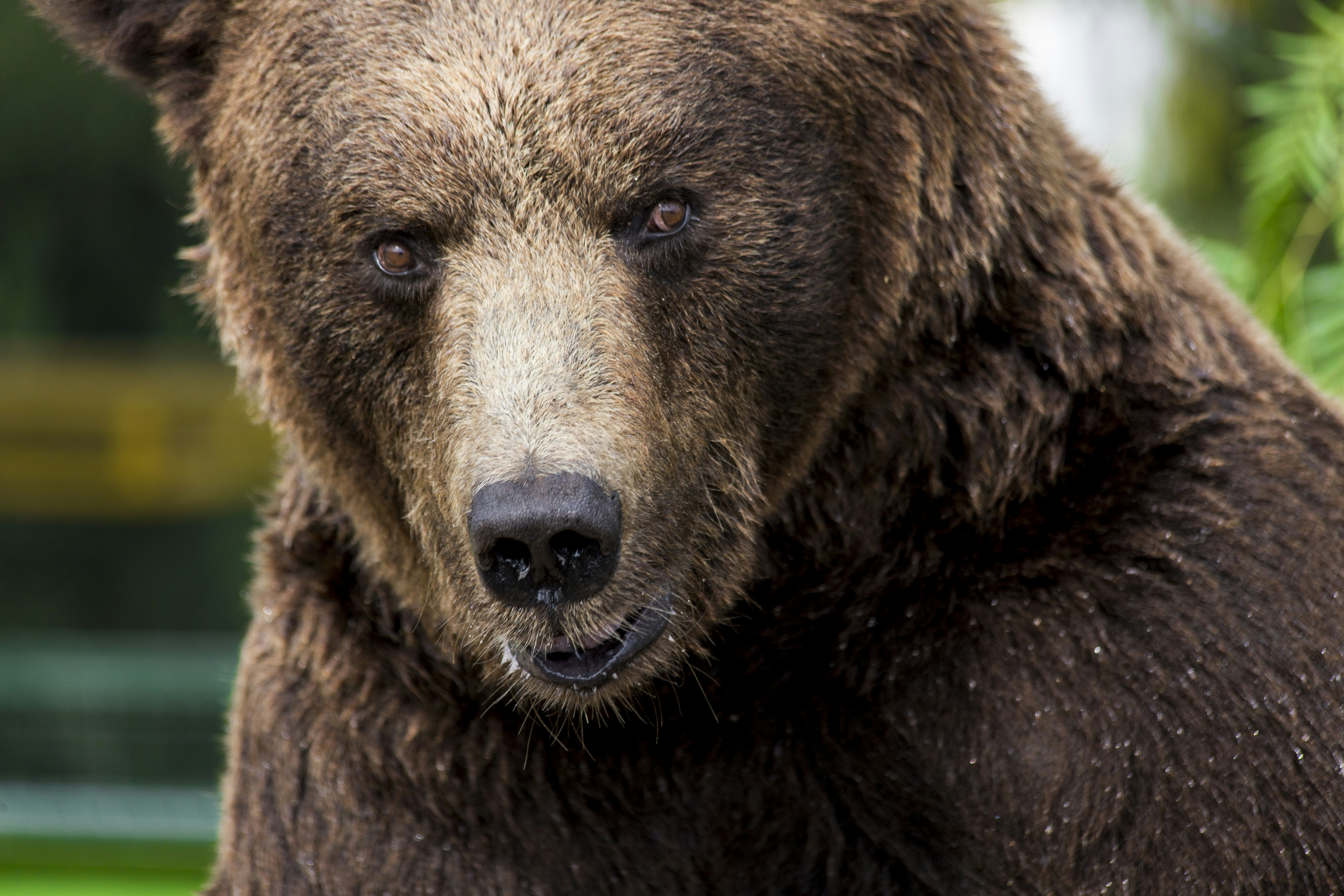 Photo by ilvagabiondo