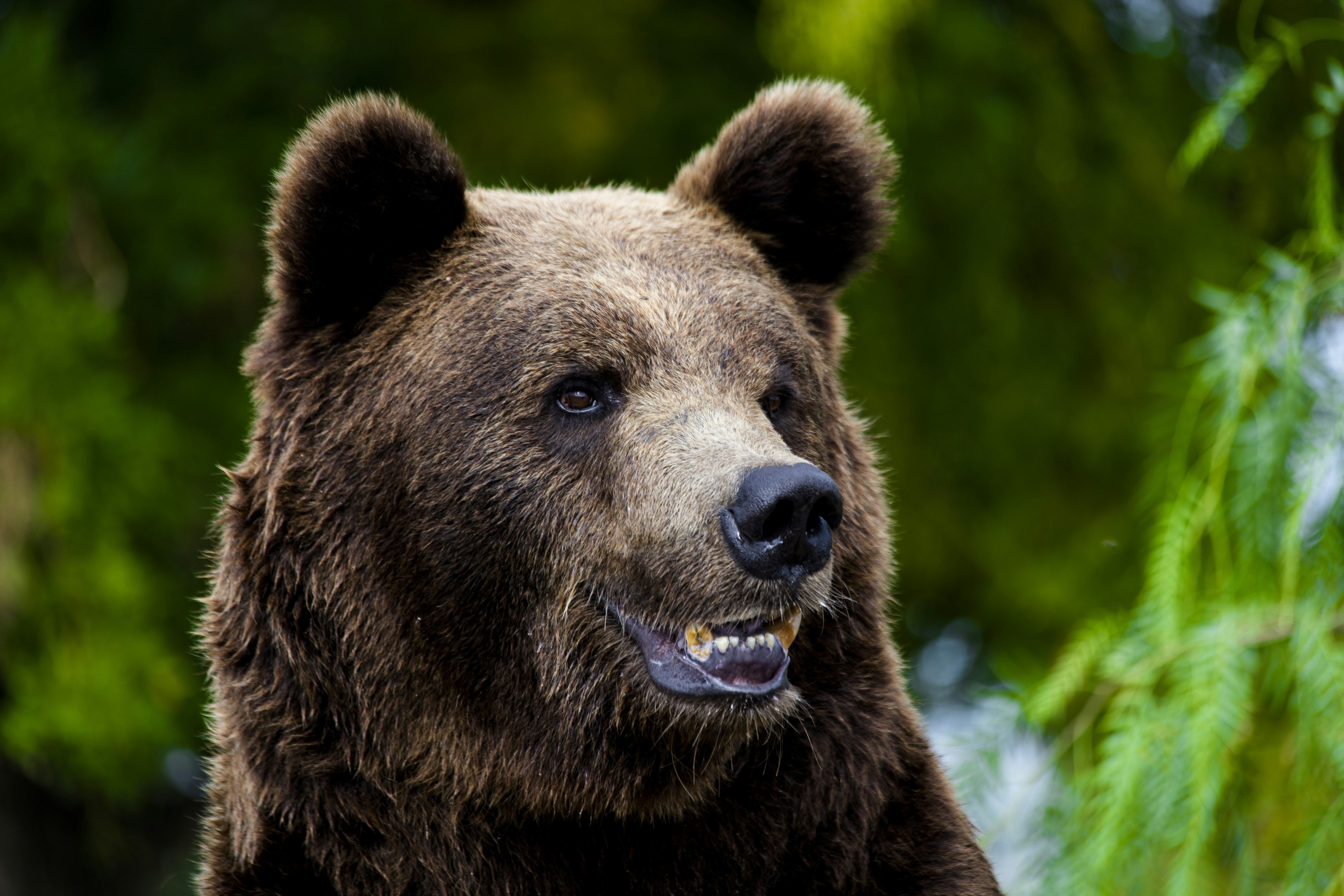 Photo by ilvagabiondo