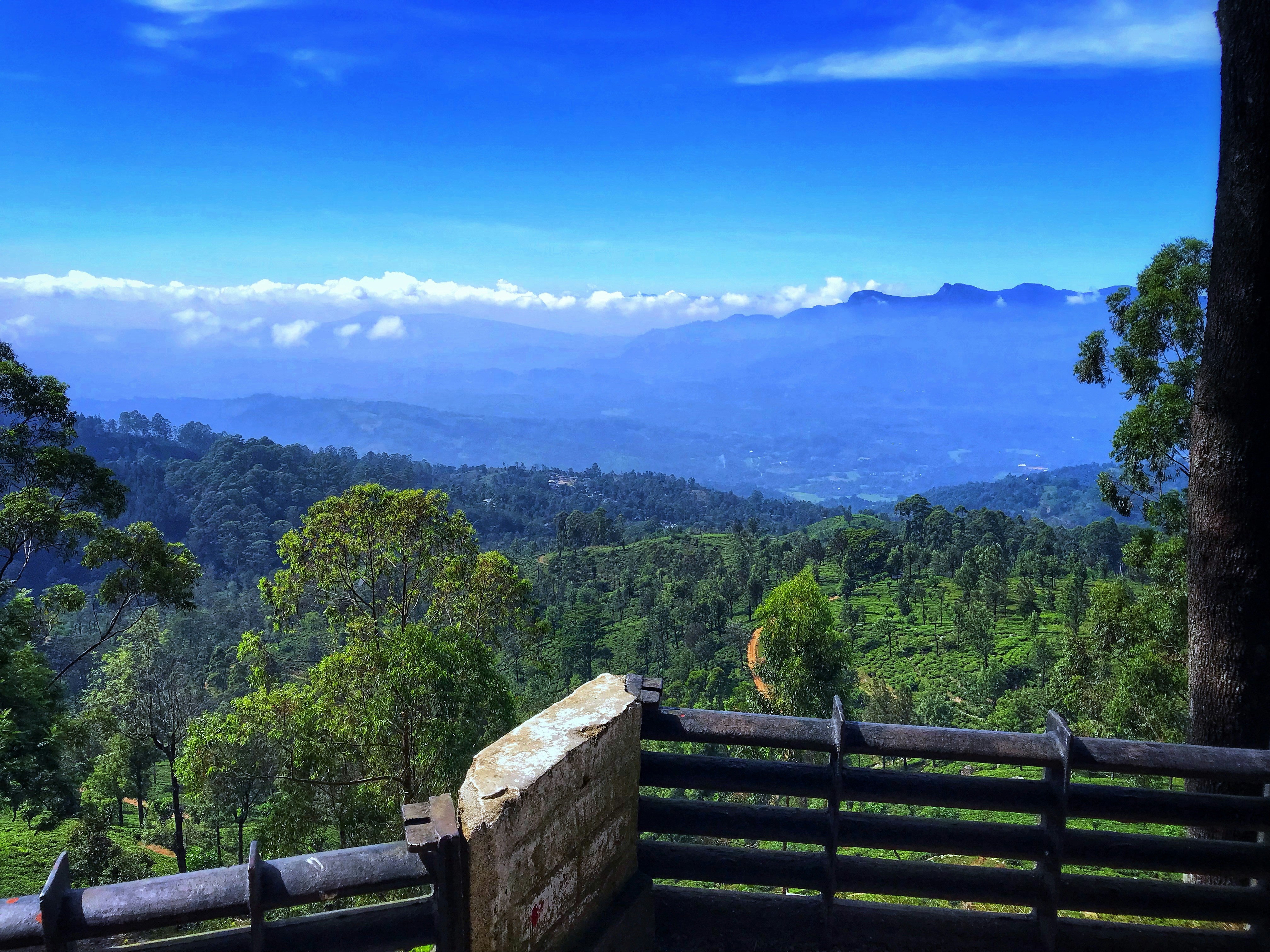 a wooden bench sitting on top of a lush green hillside